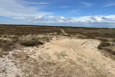 5 persone case ad Rømø-By Traum