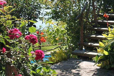 Levada Guesthouse