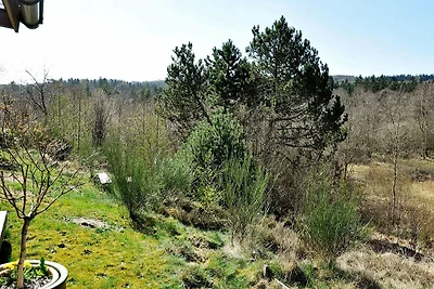 4 persone case ad Silkeborg