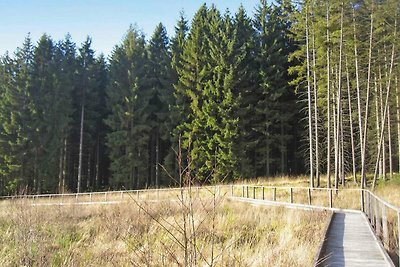 Eifel—Landhaus Habicht, Lissendorf-ehem. TUI