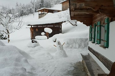 Ferienhaus mit 1 Schlafzimmer