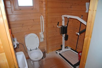 Modernes Ferienhaus in Hotton mit Garten