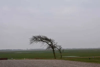 4 Personen Ferienhaus in Toftlund-By Traum