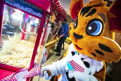 Komfortable 2-Zimmer-Wohnung für 4 Personen