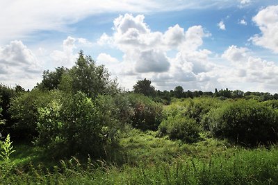 Rietgekapte vakantieboerderwij bij Leerdam me...