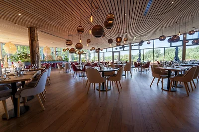Suite in Tournai mit Waldblick