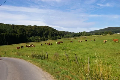 Soggiorno con giardino nell'Hunsrück.