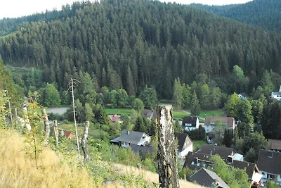 Aangenaam appartement in Wildemann