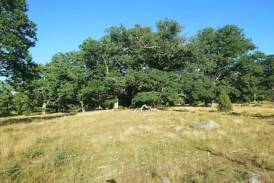 4 Personen Ferienhaus in VETLANDA-By Traum