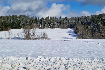 Residenza forestale Rifugio moderno