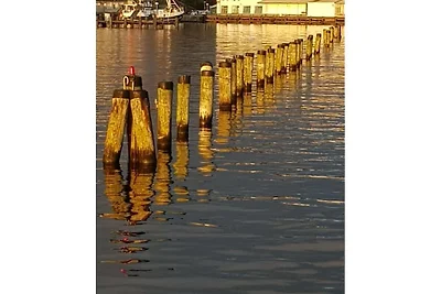 Finja Moderne retraite