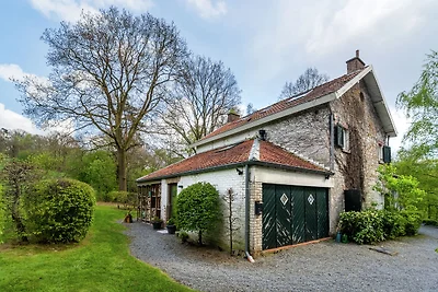 Fijn vakantiehuis met sauna, open haard en gr...