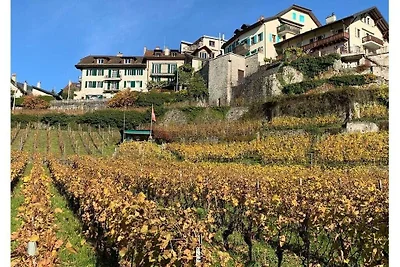 La Vigneronne, Garden