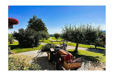 Ferienhaus in Weitnau mit Schwimmbecken