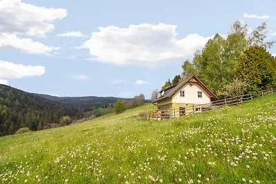 Casa vacanze a Sankt Andrae vicino al lago