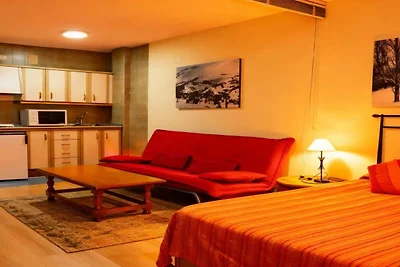 Modern appartement vlakbij de piste