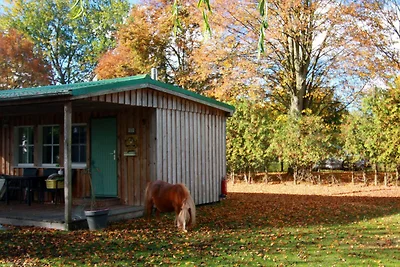 Ferienhaus mit Kamin am Achterwasser in Lütow