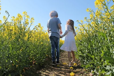 Agriturismo a Damshagen con giardino e sauna
