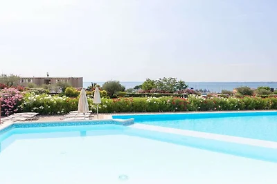 Oliveto al Porto 4