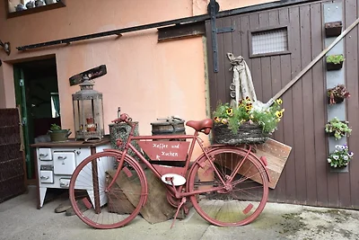 Wohnung in Ribnitz Damgarten