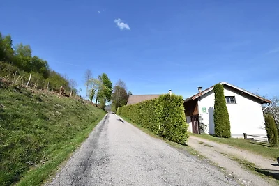 Casa vacanze a Saulxures-sur-Moselotte