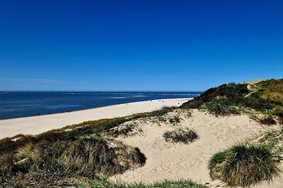 4 Personen Ferienhaus in Blåvand