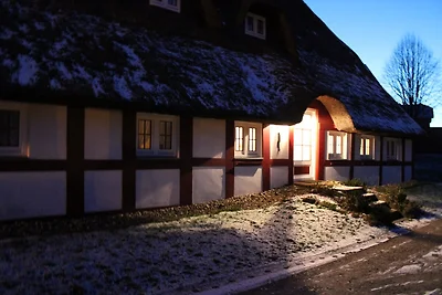 Geräumige Ferienwohnung mit Terrasse in Klütz