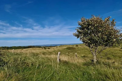 6 persoons vakantie huis in Knebel