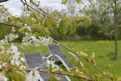 Charmant appartement in Wiek met tuin