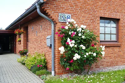 Accogliente appartamento con giardino a...