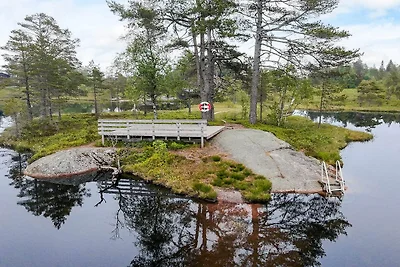 11 Personen Ferienhaus in Hornnes