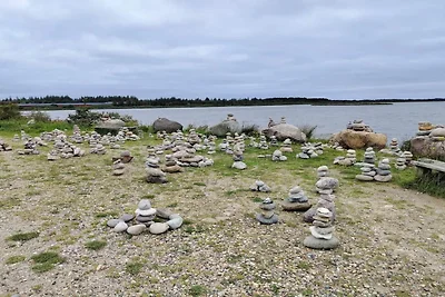 Afgelegen toevluchtsoord bij Lyngbo Heide