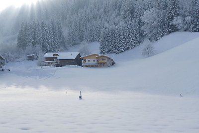 Wohnung in der Nähe des Skigebietes...