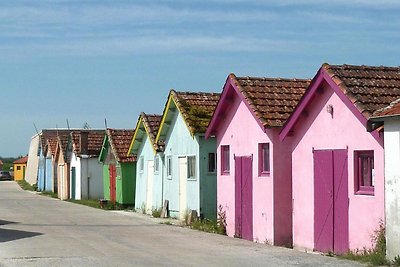 Ferienhaus, St. Denis-d'Oléron-ehemals TUI...