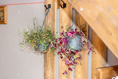 Ethno Village Dolina Mira - Two Bedroom Holid...