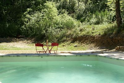 Charmantes Haus im Wald mit privatem Pool