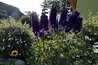 Ferienhaus in Putgarten mit Barbecue