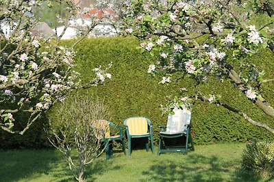 Wohnung mit großem Garten an der Ostseeküste