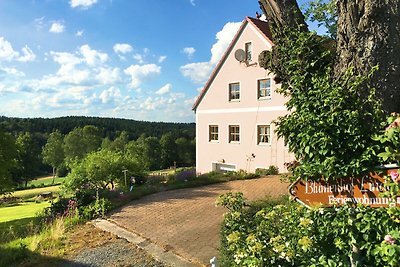 Geräumige Ferienwohnung in Schönsee mit Sauna