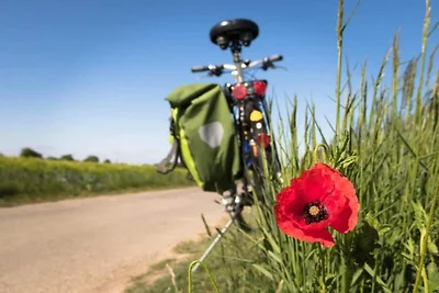 4 persoons vakantieparkhuis in Asperup