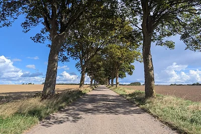 Meereszauber in Boged-By Traum