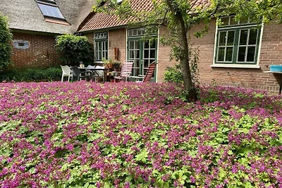 Ferienhaus in Groet mit Schwimmbecken