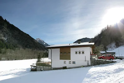 Wohnung in St. Gallenkirch nahe Skipisten