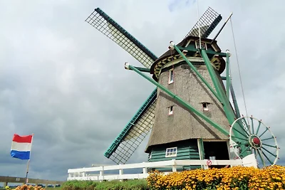 Vakantiehuis in Beemster bij een molen
