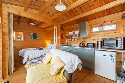 Huisdiervriendelijk chalet in Surlingham, Gee...