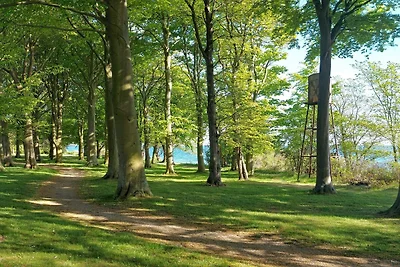 8 Personen Ferienhaus in Nysted