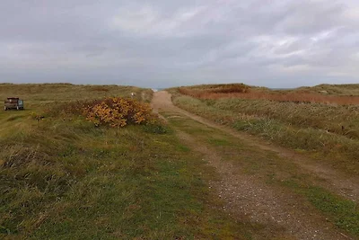10 persoons vakantie huis in Fjerritslev-By...