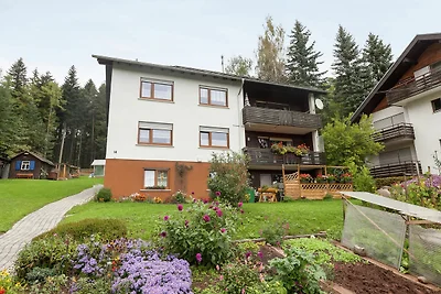 Appartamento con balcone nella Foresta Nera