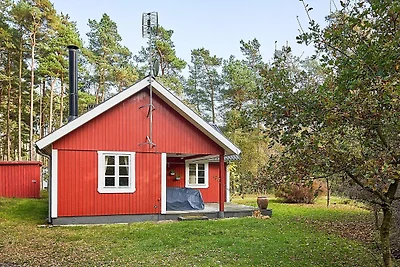 6 Personen Ferienhaus in Aakirkeby