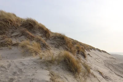 Leuk huisje in Hollum vlak bij de golfbaan